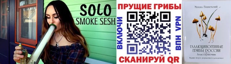 MEGA tor Кириши Псилоцибиновые грибы Psilocybine cubensis