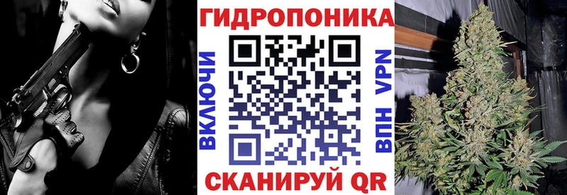 OMG сайт  Кириши  Марихуана Ganja 